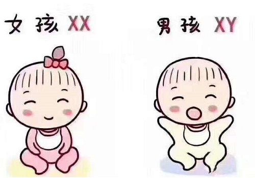 試管嬰兒費(fèi)用大概是多少錢