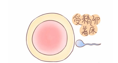 試管嬰兒移植后見紅是好事還是壞事？