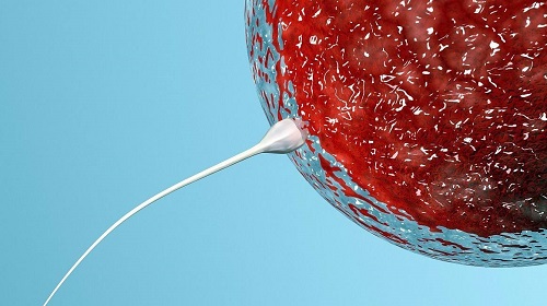 2020有去博鰲試管三代成功的嘛？要花多少錢？