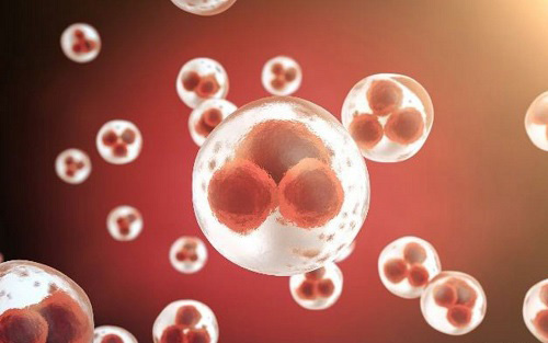 2022年單身做試管嬰兒合法嗎？