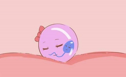 10個人做試管嬰兒幾個能成功?做試管一次成功的是哪些?