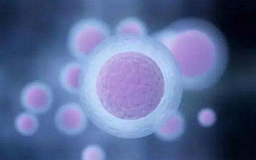 2022年北京試管嬰兒最好的醫(yī)院需要多少錢？_2