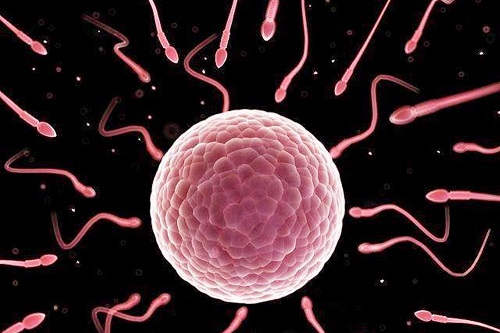 2022廣州第三代試管嬰兒醫(yī)院好么？