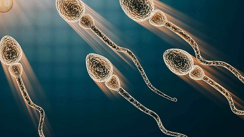 2021第三代試管篩查多少病？