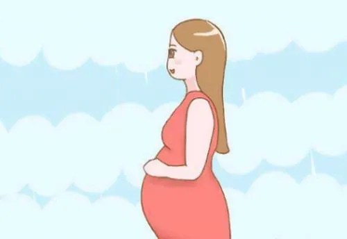 試管嬰兒胚胎移植后哪些因素影響著床