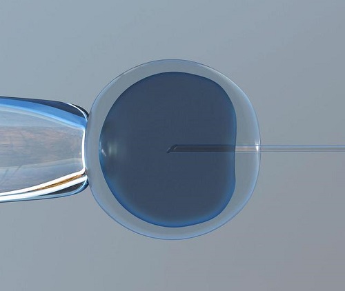 2021有胚胎第二次試管嬰兒流程怎樣的?