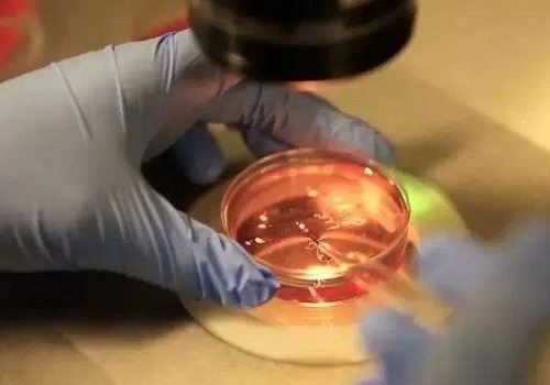 2022南通第三代試管嬰兒多少錢?