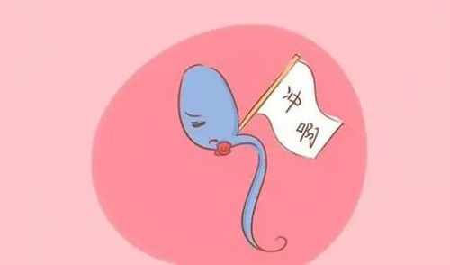赴泰生子費(fèi)用是多少？為什么有高有低？