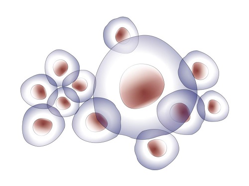 三代試管過程親身經歷感覺是怎樣？
