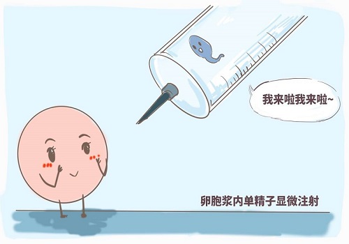 試管價(jià)格費(fèi)用多少錢